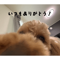 vづshづdbs