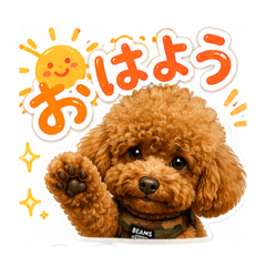 nakashi_20260622144155