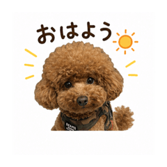 nakashi_20260622144741