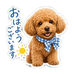 yururin_20260622150755