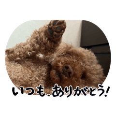 Gigi_20260622155047