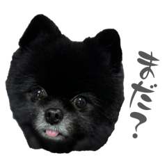 Miiiiiko_20260622155307