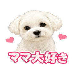 harunamama0607_20260622161947