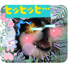 Misa_20260622161710