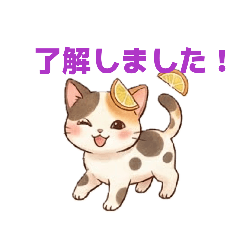 milk_20260622162413