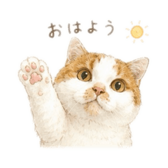 ha_chm_20260622163001