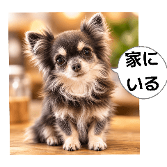 Rincoco_20260622160209