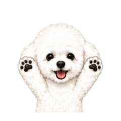 kuropipi_20260622180031
