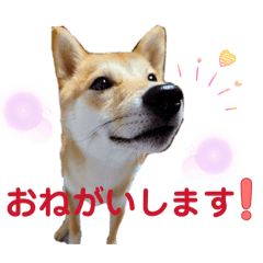misawest_20260622180101