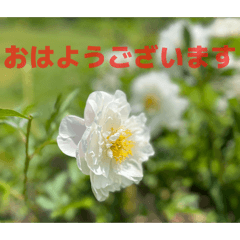 ituki_20260622181211