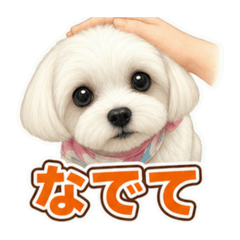 harunamama0607
