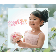 SANA_20260622183453