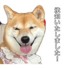 maru_20260622183402