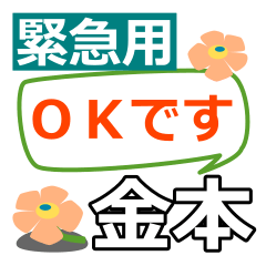 取急ぎ返信用【金本,かねもと】専用