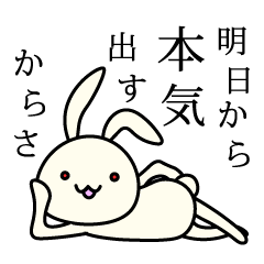 Lazy rabbit Coco-chan