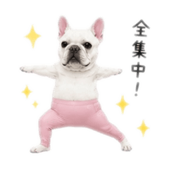 hanachanbuuu_20260621140814