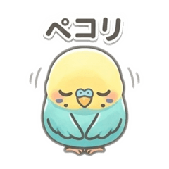 鳥好き必見！！ゆるかわインコちゃんです♪