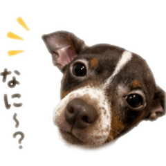 Mini Pin sticker