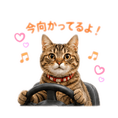 satomi0401_20260622084758