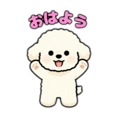 fumi_20260622080248