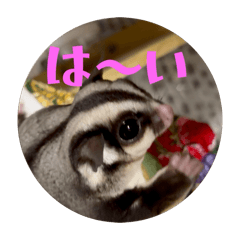 UNK_20260622121741