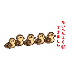 mayunomipost_20260622131252