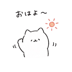 Easy Everyday Cat