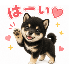 kana_20260622175131