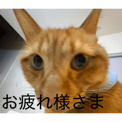 Risa_20260623154452