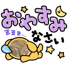 K_20260623160534