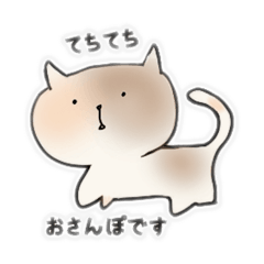 moko_20260623162033