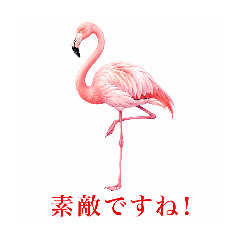 YUKARI_20260622200210