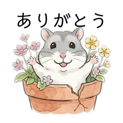 Flowers and Dwarf Hamster