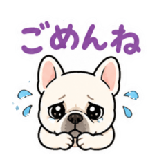 LEO_20260623085105