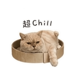 阿奶卡哇伊