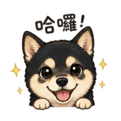 以逗比之名