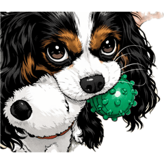 coco_20260623100923