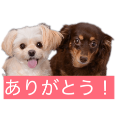 kayo_20260623145417