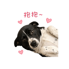 哞哞日常篇