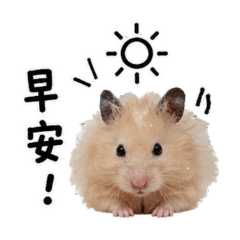 麥斯寶的貼圖_本鼠篇