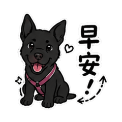 酷囉