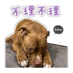 狗不理大王