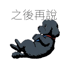 小懶圓
