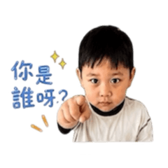 陳小先生雙魚座
