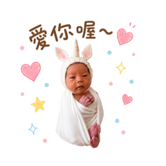 晟寶貼圖