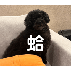 大胖子糕糕1