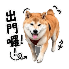 傲嬌q版娜娜與屁孩