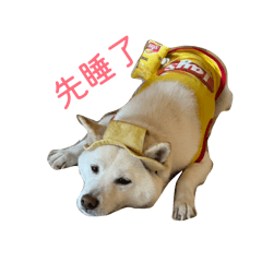 米乓的日常2.0