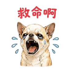 生病小吉