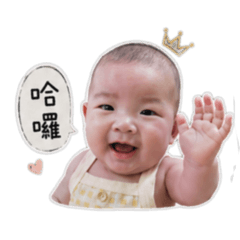 小綸3.0